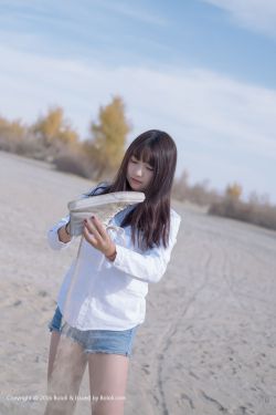最强大脑第十季在线观看